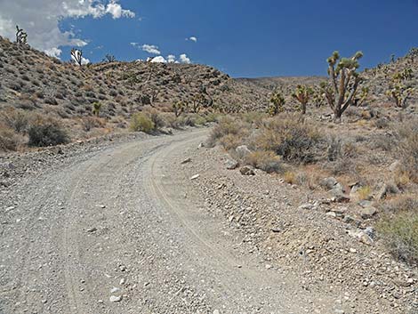 Alamo Road