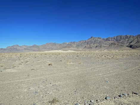 Alamo Road
