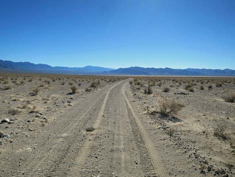 Alamo Road