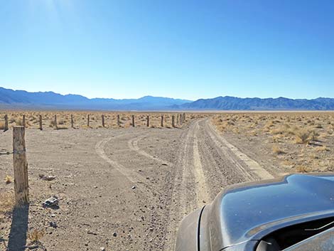 Alamo Road