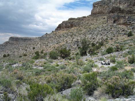 Cabin Spring Road