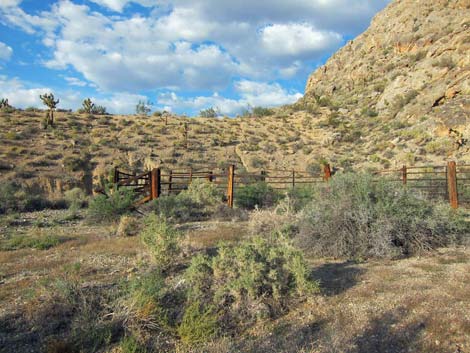 Cow Camp Corral