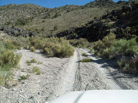 deadhorse road