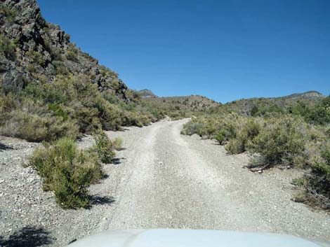 Deadhorse Road