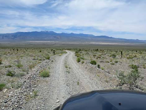 Joe May Road
