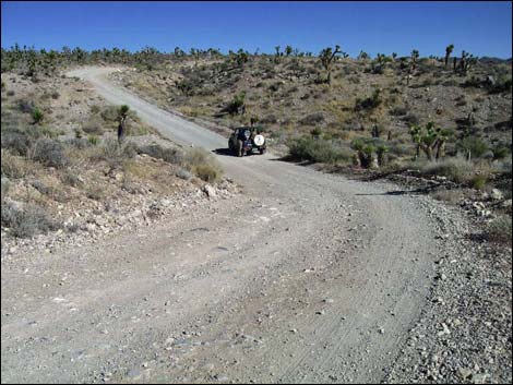 Mormon Well Road