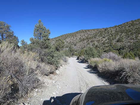 Mormon Well Road