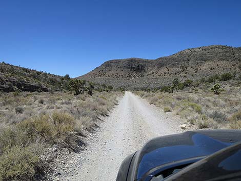 Mormon Well Road
