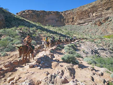 Bright Angel Trail