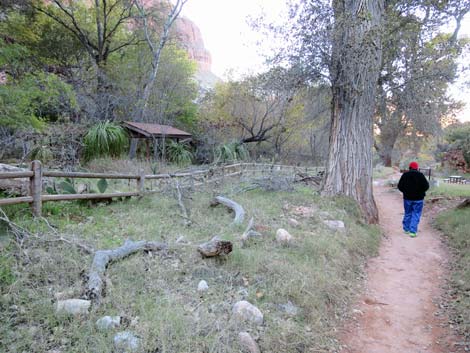 Bright Angel Trail