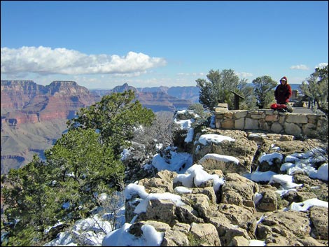 Rim Trail