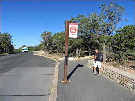 Rim Trail