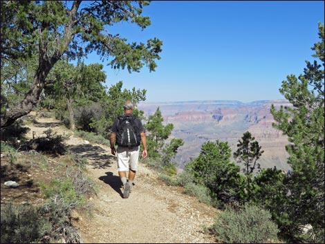 Rim Trail