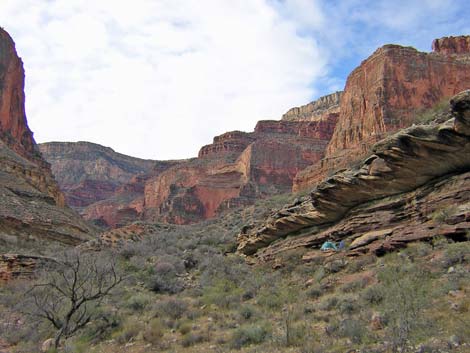 Tonto West Trail