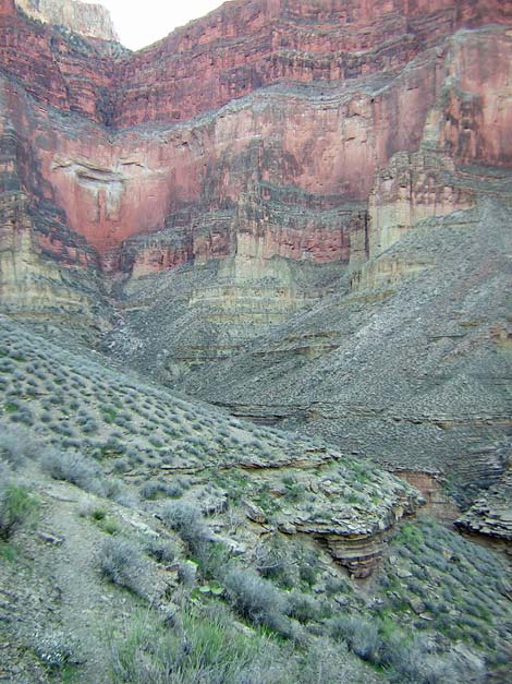 Tonto West Trail