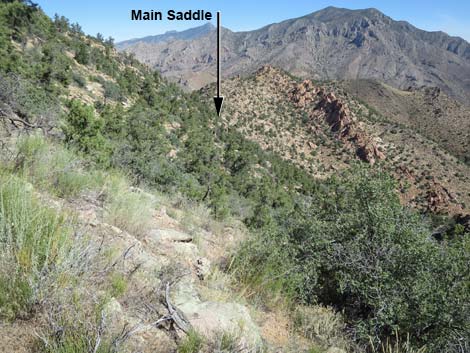 Billy Goat Peak