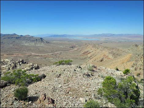 Bitter Ridge
