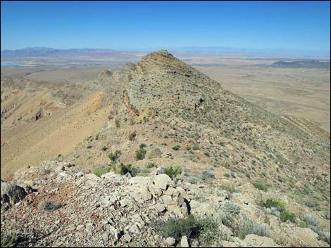 Bitter Ridge