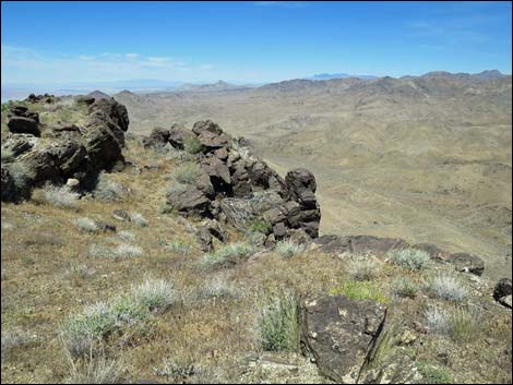 Bonelli Peak