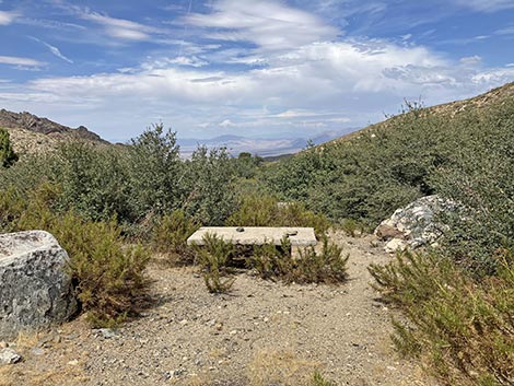 White Rock Campground