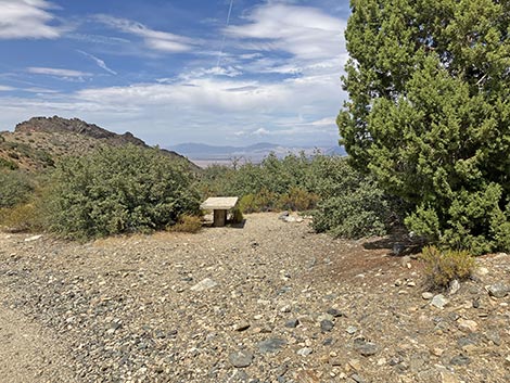 White Rock Campground