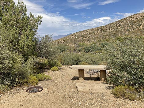 White Rock Campground