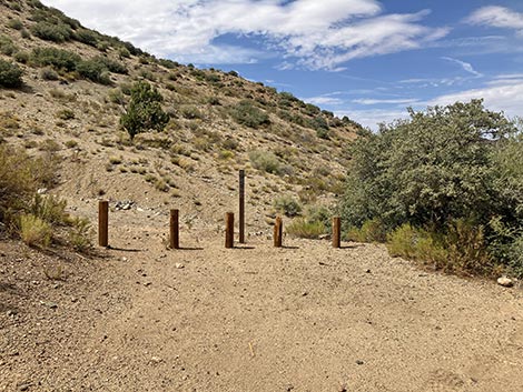 White Rock Campground