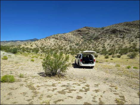 Whitney Pass Road Campsite