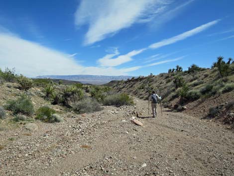 Cobalt Mine