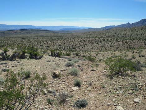 Cobalt Mine