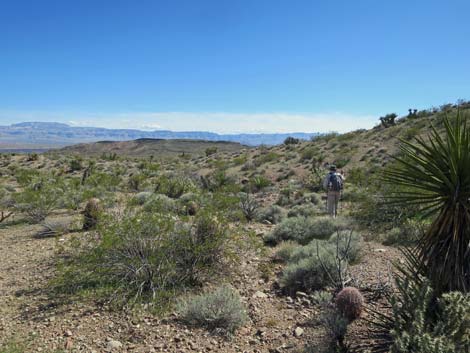 Cobalt Mine
