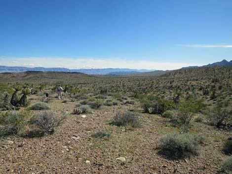 Cobalt Mine