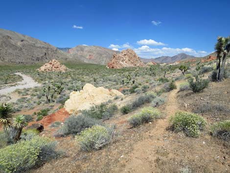 Doodlebug Arch