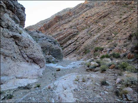 Garden Canyon