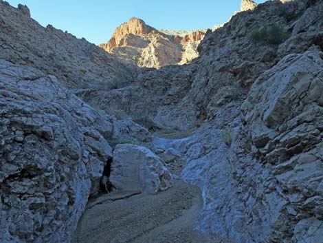 Garden Canyon