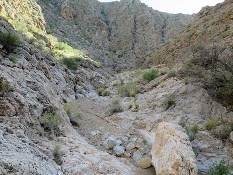 Garden Canyonv