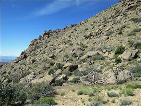 Jumbo Springs Wilderness Area