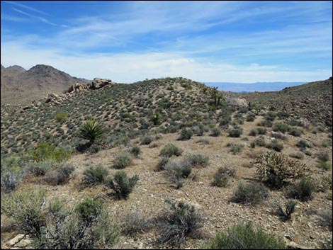 Jumbo Springs Wilderness