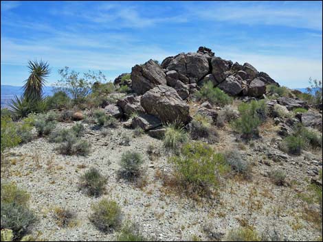Jumbo Springs Wilderness