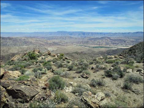 Jumbo Springs Wilderness