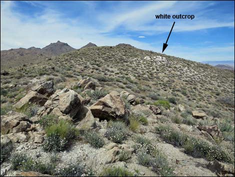 Jumbo Springs Wilderness