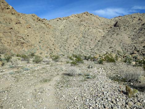 Two Forks Loop