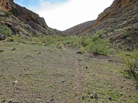 Two Forks Loop