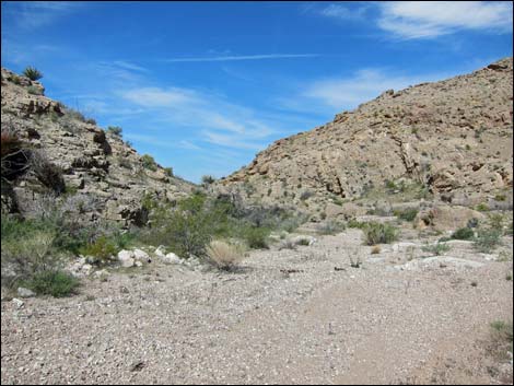Lime Canyon