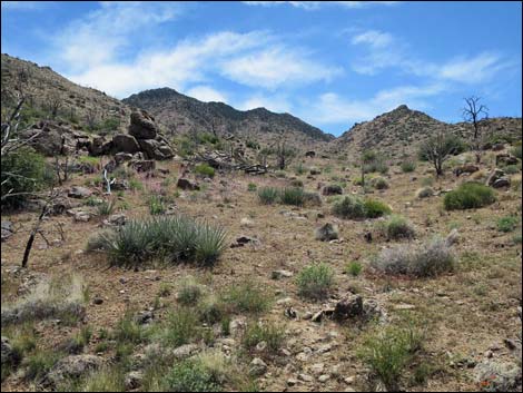Mica Peak
