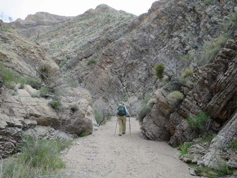 Million Hills Wash
