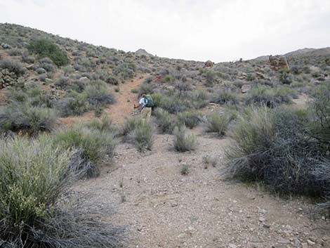 Million Hills Wash