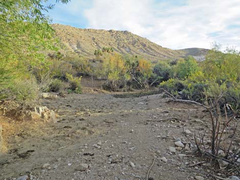Horse Spring