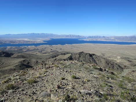 Lakeside Mine