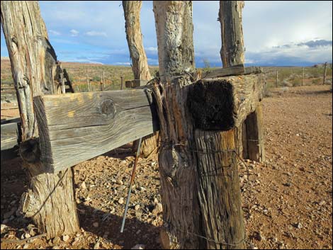 Mud Hills Corral